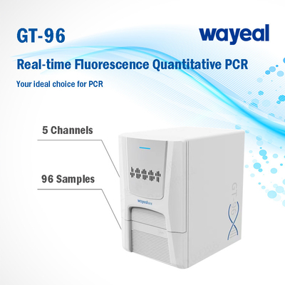 Analyseur quantitatif de essai rapide 96 Wells d'ACP de fluorescence en temps réel 5 canaux